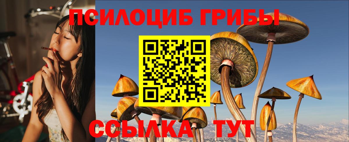 Галлюциногенные грибы GOLDEN TEACHER Дмитров